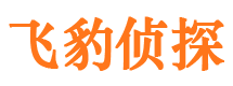 新建飞豹私家侦探公司